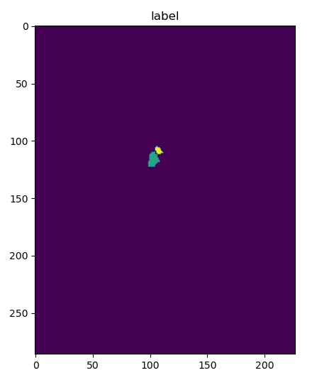 Solving 'RuntimeError: CUDA error: device-side assert triggered' in PyTorch semantic segmentation by fixing mask intensity values and label preprocessing.