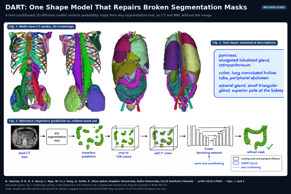 Figures 1 and 2 of the DART paper: 3D renderings of multi-class CT segmentations, example anatomical text descriptions, and the inference row where an imperfect colon prediction from any segmentation tool is cropped, partially noised and passed through a frozen denoising network to a refined mask. Swarna and colleagues, Johns Hopkins University, Aalto University and ELLIS Institute Finland, arXiv:2610.27605