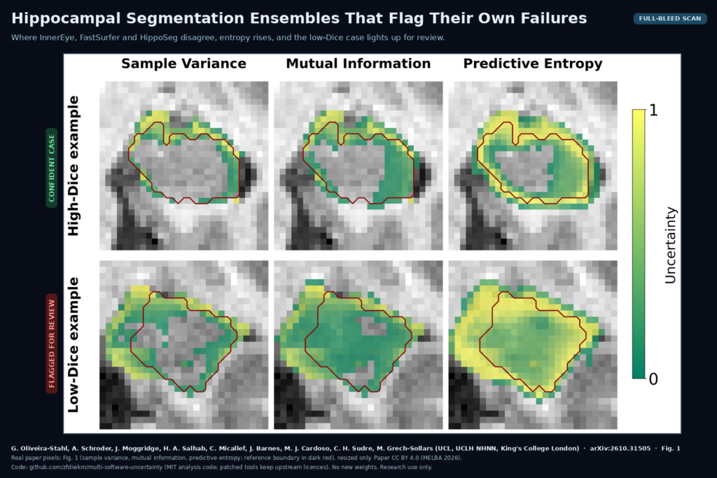 Fig. 1 of the paper: sample variance, mutual information and predictive entropy maps from an InnerEye, FastSurfer and HippoSeg ensemble overlaid on T1 MRI around the hippocampus, for a high-Dice example (top) and a low-Dice example (bottom), with the reference boundary in dark red. Oliveira-Stahl and colleagues, UCL and King's College London, arXiv:2610.31505