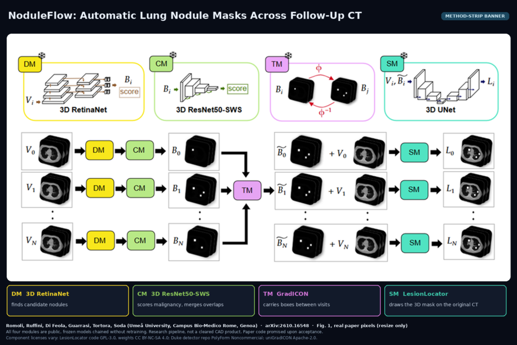 Method-strip banner from Fig. 1: chest CT volumes at several time points pass through a 3D RetinaNet detector, a ResNet50-SWS malignancy classifier, GradICON box transfer between visits and LesionLocator segmentation. Romoli et al., arXiv:2610.16548